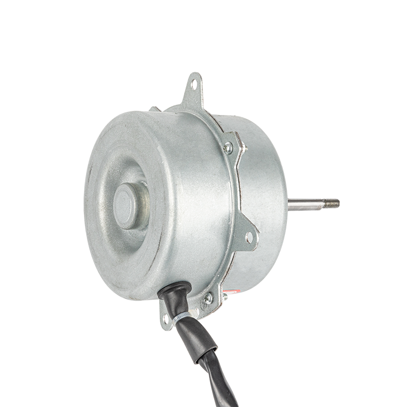 Washing Machine Motor